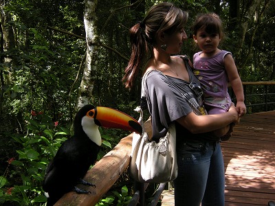 イグアスへの旅 Parque Das Aves その２ Tucano 地球の反対側にて ブラジル生活つれづれ